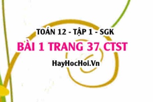 Bài 1 trang 37 Toán 12 tập 1 Chân trời sáng tạo